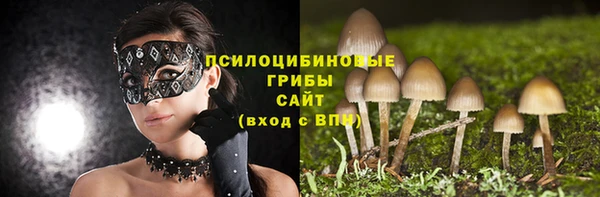 прущая мука Сосновый Бор