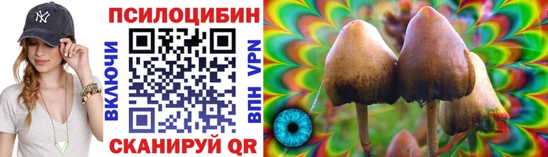 Псилоцибиновые грибы ЛСД  Купить закладки  Верхотурье 