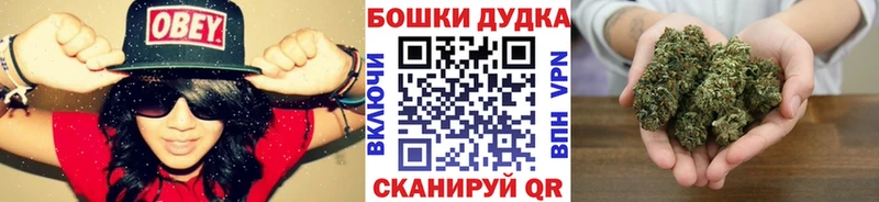 Купить где  Верхотурье  Бошки Шишки ГИДРОПОН 